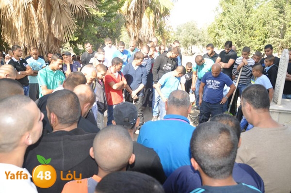 Janza yosef 3obra (15).JPG